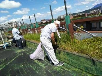 專業除草、消毒作業｜現場照片 4