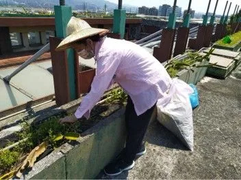 專業除草、消毒作業｜現場照片 5